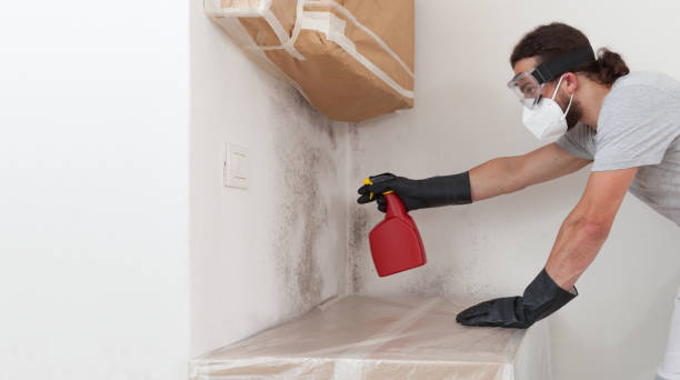 Professional Bathroom Mold Removal technician working in Port Reading, NJ