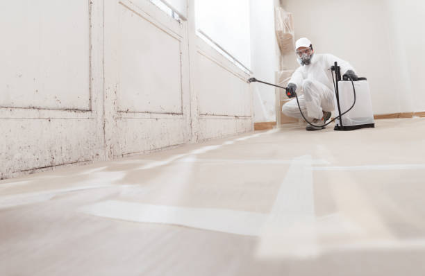 24/7 Emergency Bathroom Mold Removal experts in Port Reading, NJ